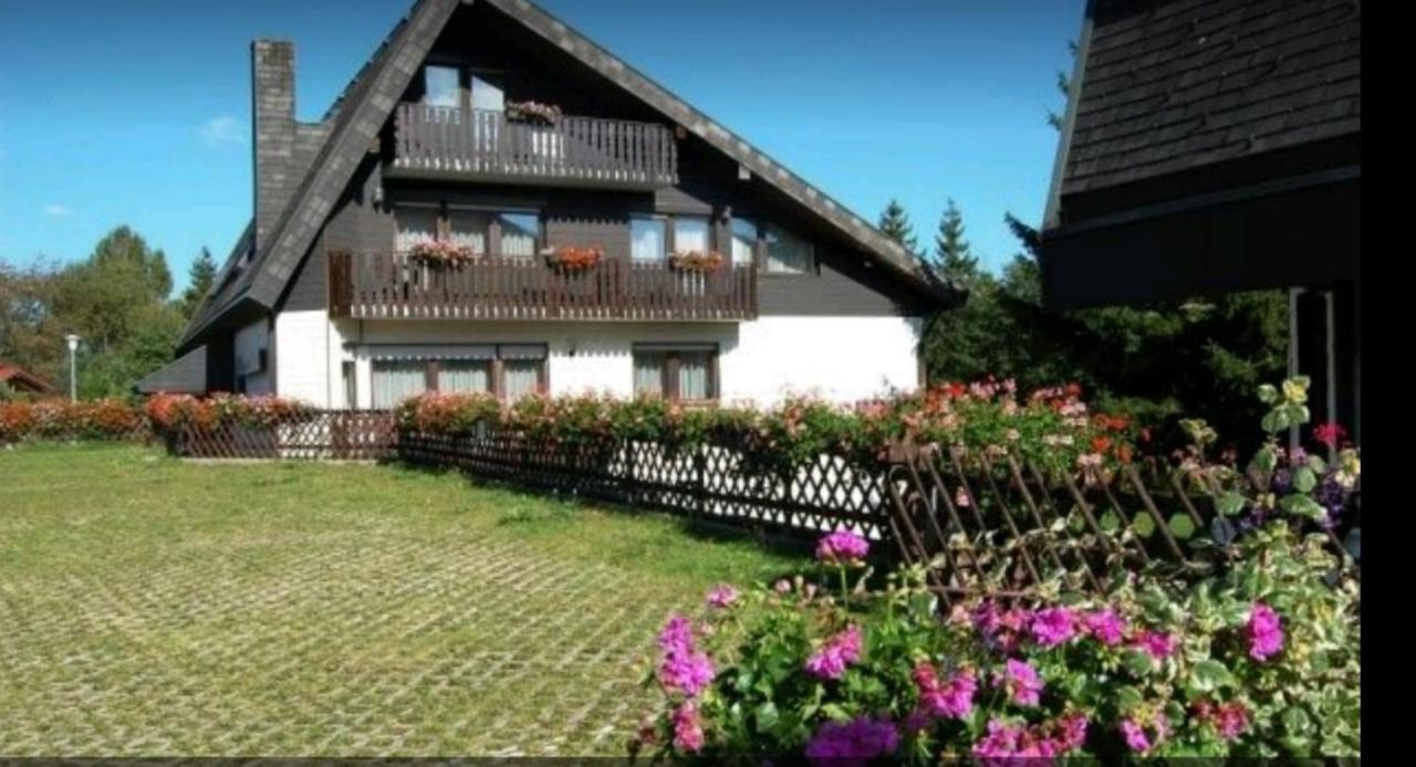 Ferienhaus-Schoenwald Im Herzen Des Schwarzwaldes 1Zimmer Wohnung Mit Terrasse App17 Экстерьер фото