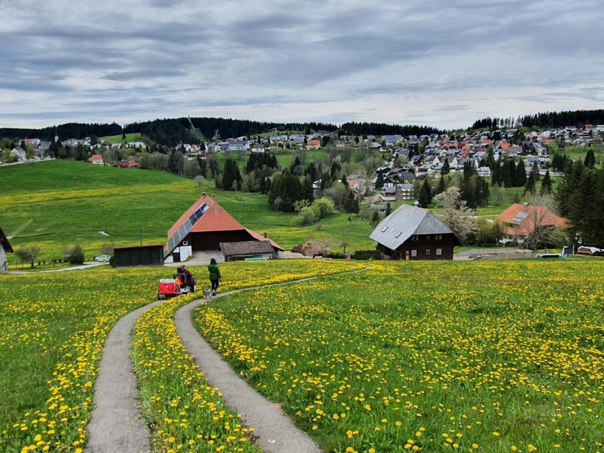 Ferienhaus-Schoenwald Im Herzen Des Schwarzwaldes 1Zimmer Wohnung Mit Terrasse App17 Экстерьер фото